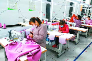 丹陽聯村黨委實踐 圍繞主導產業發展集體經濟，提升農副產品競爭力